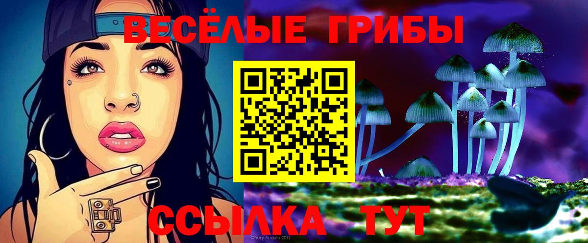 Россошь  Галлюциногенные грибы Psilocybe  Вход с VPN 