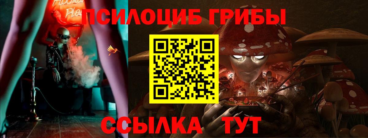Галлюциногенные грибы Magic Shrooms Россошь